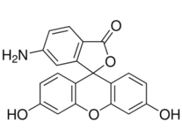 6-AminofluoresceinBioReagent, suitable for fluorescence, ~95% (HPLC) 1G