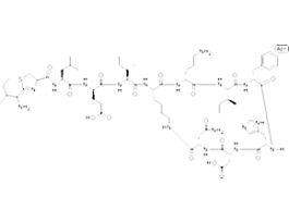 Bacitracinfrom Bacillus licheniformis, >=60000 U/g (Potency) 25G