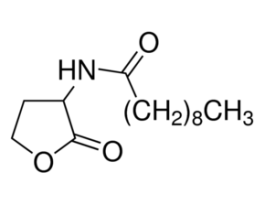 N-Decanoyl-DL-homoserine lactone>=97.0% (HPLC)
