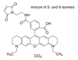 Atto 565 maleimideBioReagent, suitable for fluorescence