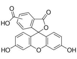5(6)-CarboxyfluoresceinBioReagent, suitable for fluorescence, >=95% (HPLC) 5G
