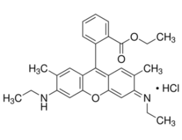 Rhodamine 6GDye content 99 % 250MG
