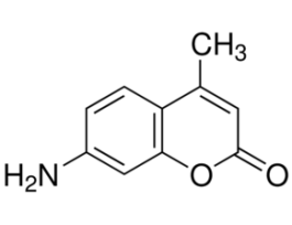 7-Amino-4-methylcoumarin99% 100MG