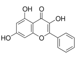 Galanginautophagy inducing flavonoid 100MG