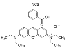 Rhodamine B isothiocyanatemixed isomers 100MG