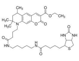 Atto 425-BiotinBioReagent, suitable for fluorescence, >=95.0% (HPCE)