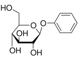Phenyl beta-D-glucopyranoside97% 5G