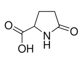 2-Pyrrolidone-5-carboxylic acid99% 100G