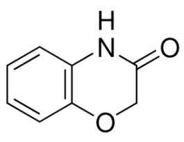 2H-1,4-Benzoxazin-3(4H)-one99% 25G