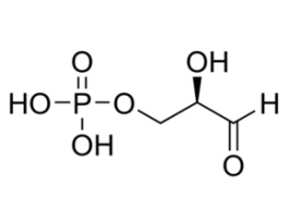 D-Glyceraldehyde 3-phosphate solution8-13 mg/mL in H2O 5ML