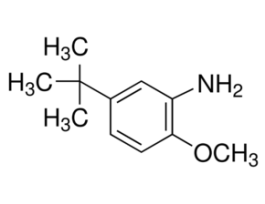 5-tert-Butyl-o-anisidine97%