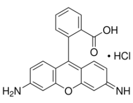 Rhodamine 110 chlorideDye content 75 % 1G