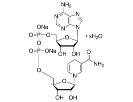 beta-Nicotinamide adenine dinucleotide, reduced disodium salt hydrate>=97.0% (HPLC) 100MG