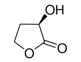 (R)-(+)-alpha-Hydroxy-gamma-butyrolactone95%, optical purity ee: 98% (GLC)