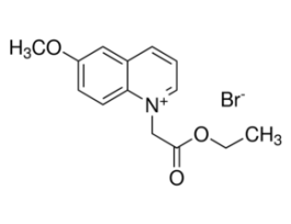 1-(Ethoxycarbonylmethyl)-6-methoxyquinolinium bromidesuitable for fluorescence, >=97.0% (TLC)