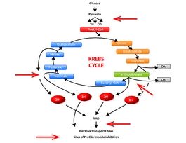 ProClin(TM) Variety Kit