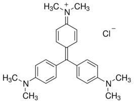 Gentian violetfor microscopy (Bact., Hist.) 25G