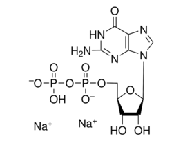Guanosine 5'-diphosphate disodium salt>=90% (HPLC) 500MG