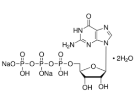 Guanosine 5'-triphosphate sodium salt hydrate>=90% (HPLC) 1G