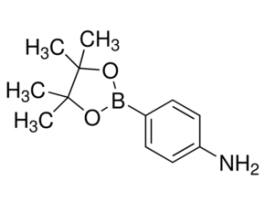 4-Aminophenylboronic acid pinacol ester97% 5G