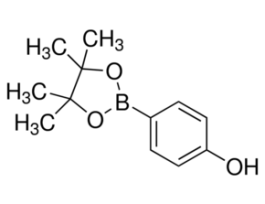 4-Hydroxyphenylboronic acid pinacol ester97% 5G
