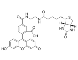 Biotin (5-fluorescein) conjugateBioReagent, suitable for fluorescence, >=90% (HPCE) 5MG