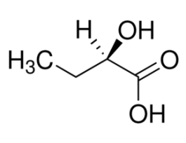 Nucleosil(R) C18 HPLC Column3 mum particle size, L x I.D. 10 cm x 3.2 mm