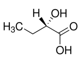 Nucleosil(R) C18 HPLC Column5 mum particle size, L x I.D. 15 cm x 3.2 mm 1G