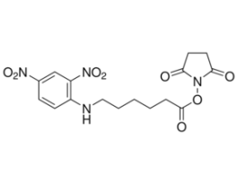 N-Succinimidyl N-(2,4-dinitrophenyl)-6-aminocaproate>=95% (HPLC)