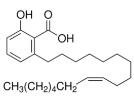 Ginkgolic acid C17:1analytical standard