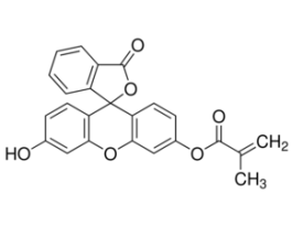 Fluorescein O-methacrylate97% 1G
