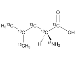 L-Leucine-13C6,15N98 atom % 13C, 98 atom % 15N, 95% (CP)