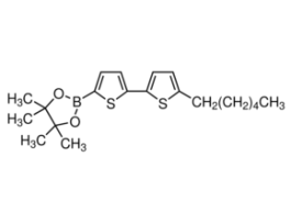 5'-Hexyl-2,2'-bithiophene-5-boronic acid pinacol ester97% 1G