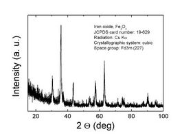 Iron(II,III) oxidenanopowder, 50-100 nm particle size (SEM), 97% trace metals basis 250G