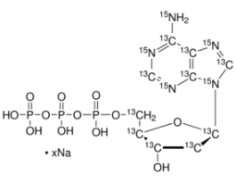 2'-Deoxyadenosine-13C10,15N5 5'-triphosphate sodium salt solution98 atom % 15N, 98 atom % 13C, 90% (CP), 100 mM in 5 mM Tris HCl 1MG