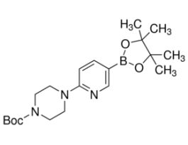 6-(4-Boc-piperazin-1-yl)pyridine-3-boronic acid pinacol ester96% 5G