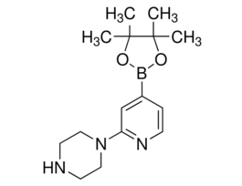 2-(1-Piperazinyl)pyridine-4-boronic acid pinacol ester97%
