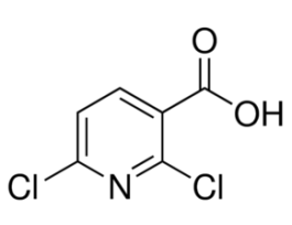 2,6-Dichloropyridine-3-carboxylic acid97% 25G
