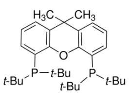 9,9-Dimethyl-4,5-bis(di-tert-butylphosphino)xanthene97% 1G
