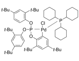 Chloro(eta2-P,C-tris(2,4-di-tert-butylphenyl)phosphite)(tricyclohexylphosphine)palladium(II) 1G