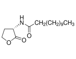 N-Dodecanoyl-L-homoserine lactone>=96% (HPLC) 10MG