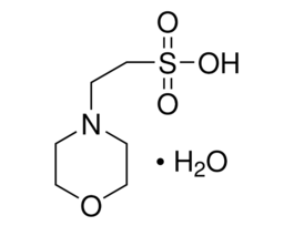 MES monohydrateBioUltra, for molecular biology, >=99.5% (T) 50G
