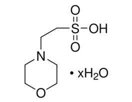 MES hydrateBioUltra, >=99.5% (T) 10G