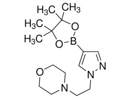 1-(2-Morpholinoethyl)-1H-pyrazole-4-boronic acid pinacol ester97% 1G