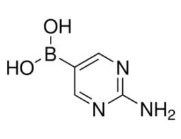 2-Aminopyrimidine-5-boronic acid>=95.0% 1G
