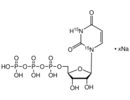 Uridine-15N2 5'-triphosphate sodium salt solution98 atom % 15N, 95% (CP), 100 mM in 5 mM Tris HCl 25MG