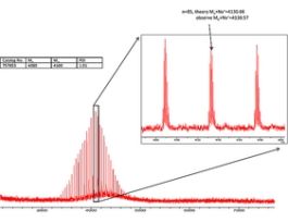Poly(ethylene glycol) (N-hydroxysuccinimide 5-pentanoate) ether N'-(3-maleimidopropionyl)aminoethaneaverage Mn 4,000