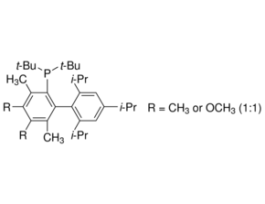 Me3(OMe)tBuXPhos96% (HPLC) 1G