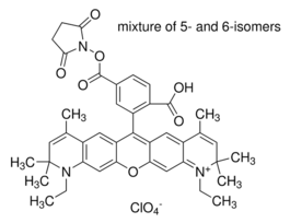 Atto 590 NHS esterBioReagent, suitable for fluorescence, >=60% (coupling to amines) 1MG