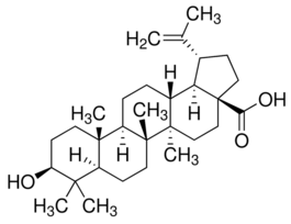 Betulinic acidtechnical grade, 90% 100MG